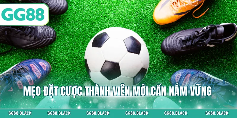 Mẹo đặt cược thành viên mới cần nắm vững